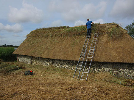 A thatcher using sedge on the ridge of a roof